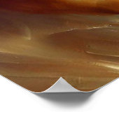 ライオン(10)野良猫 ポスター (角)