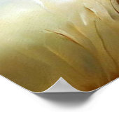 ライオン(7)野良猫 ポスター (角)