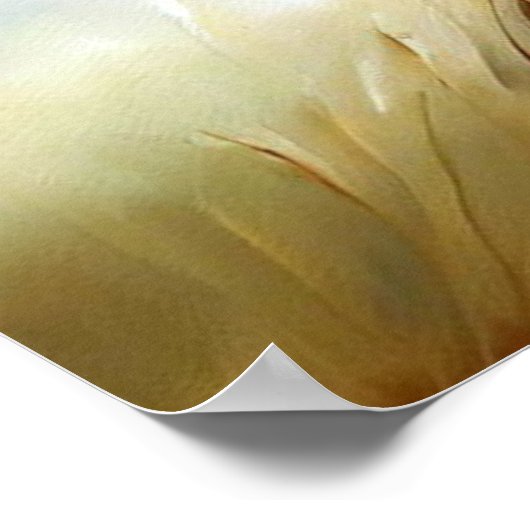 ライオン(7)野良猫 ポスター (角)