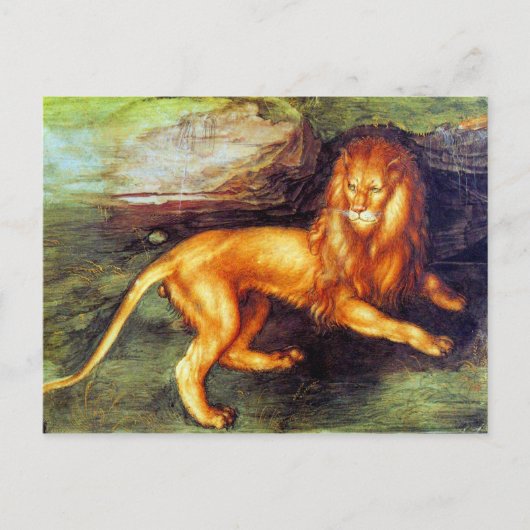 ライオン – Albrecht Durer - c1494 ポストカード (正面)