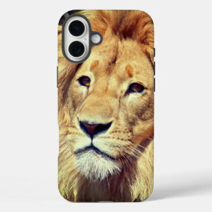 ライオン iPhone 16 PLUSケース