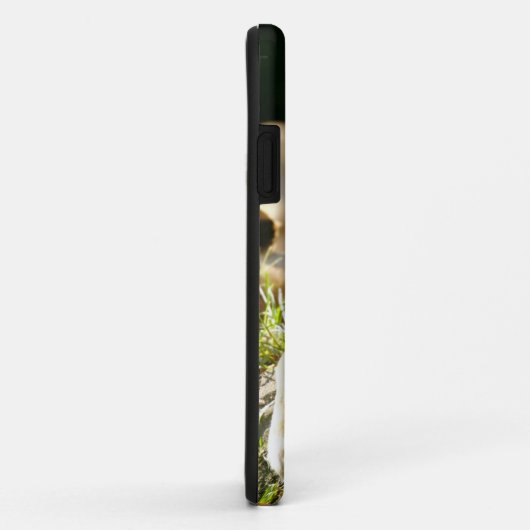 ライオン Case-Mate iPhoneケース (裏面/右)