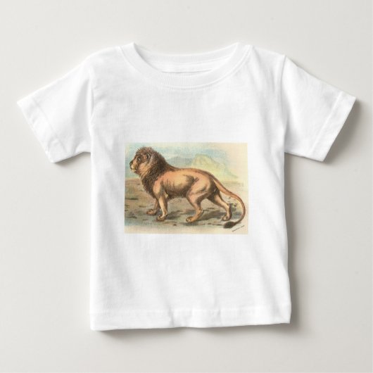 ライオン、Felis leo ベビーTシャツ (正面)
