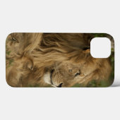 ライオン, Panthera leo, ローワー・マラ, マサイマラGR, Case-Mate iPhoneケース (裏面 (横))