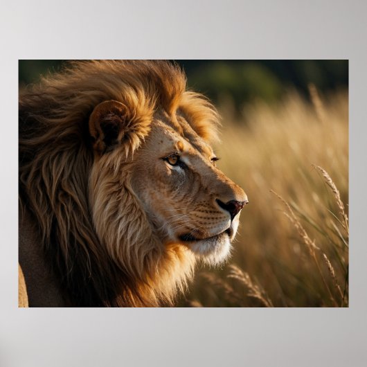 ライオ威厳のあるンの背景 ポスター (正面)