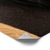 ライオ威厳のあるンの背景 ポスター (角)