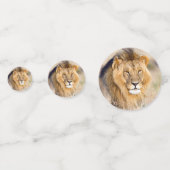 ライオ威厳のあるンフォト コンフェッティ (正面)