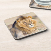 ライオ威厳のあるンフォト コースター (左側)