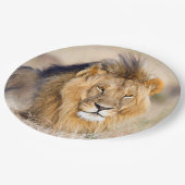 ライオ威厳のあるンフォト ペーパープレート (アングル)