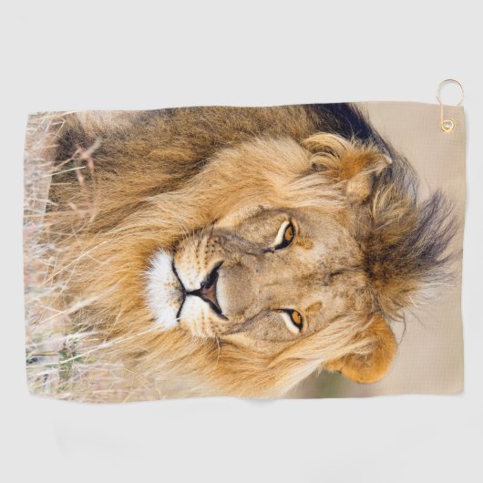 ライオ威厳のあるン野生動物ポートレート写真 ゴルフタオル (横)