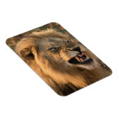 ライオ怒ン冷凍機磁石あなたの写真テンプレート マグネット (右側)