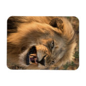 ライオ怒ン冷凍機磁石あなたの写真テンプレート マグネット (横)