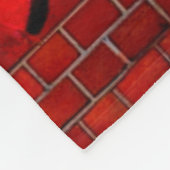 ライオ怒ン フリースブランケット (角)