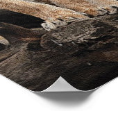 ライオ王室のネスプリント ポスター (角)