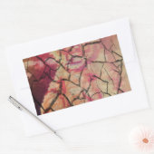 ライオ自然ン:マタタエレガントハクナデザイン 長方形シール (封筒)