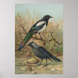 ライカス・モネドゥラ・ピカ ポスター