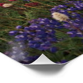 ライカラフルニア国立公園の花 ポスター (コーナー)