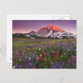 ライカラフルニア国立公園の花 ポストカード (正面/裏面)