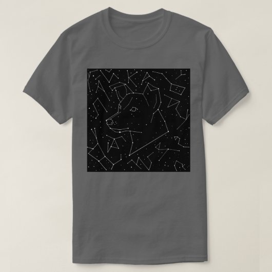 ライカ星座 Tシャツ (デザイン正面)