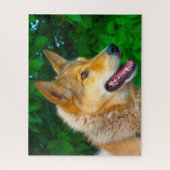 ライカ犬のジグザーズ。 ジグソーパズル (縦)