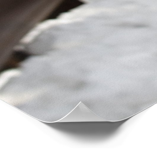 ライサ、2008年12月 ポスター (角)