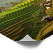 ライステラシースサンライズ ポスター (角)