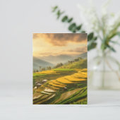 ライステラシースサンライズ ポストカード (スタンド正面)