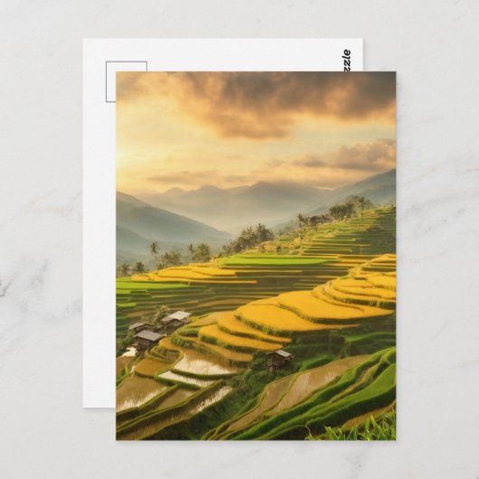 ライステラシースサンライズ ポストカード (正面/裏面)