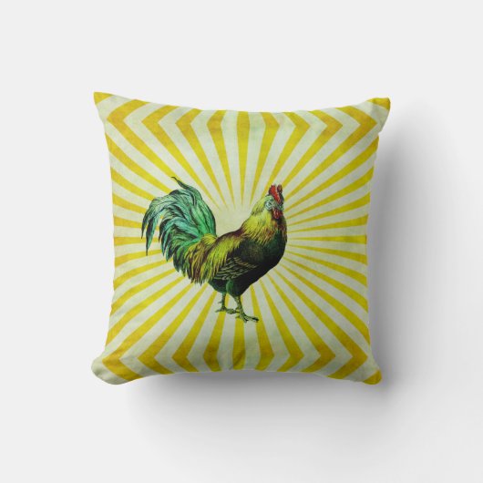 ライズとシャイン クッション (正面)