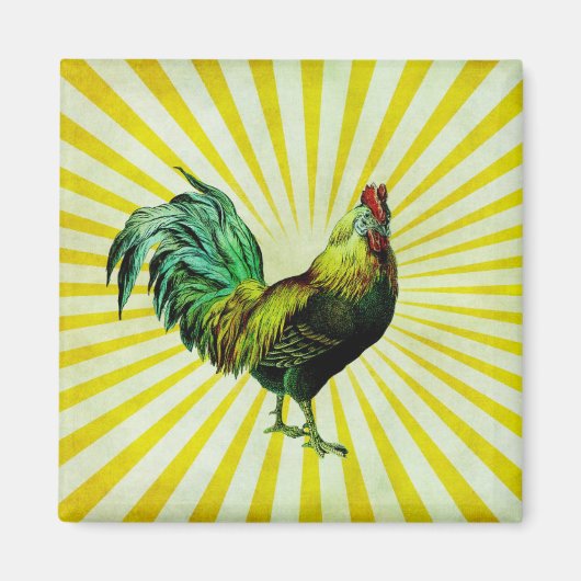 ライズとシャイン マグネット (正面)