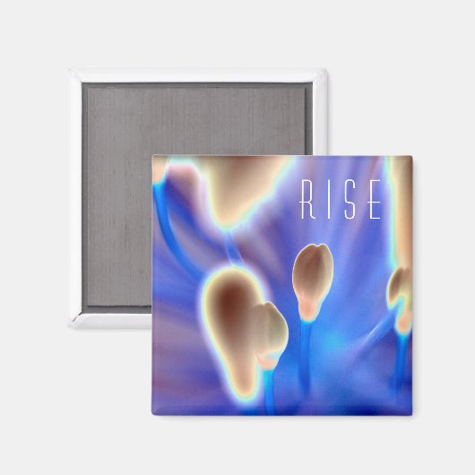 "ライズ"フローラプリントスクエアマグネット マグネット (正面/裏面)
