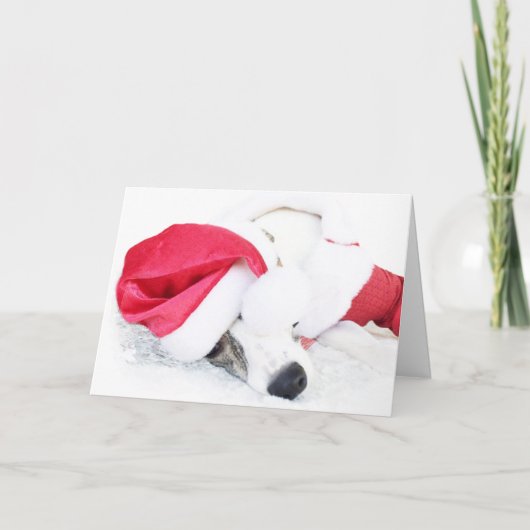 ライダーの愛の平和とクッキー シーズンカード (正面)