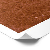 ライダー ポスター (角)