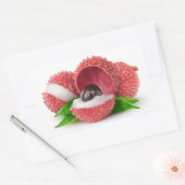 ライチの果実を切る 長方形シール (封筒)