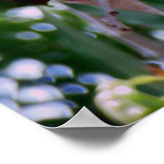 ライチの果実 ポスター (角)