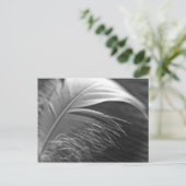 ライチギット ポストカード (スタンド正面)