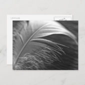 ライチギット ポストカード (正面/裏面)