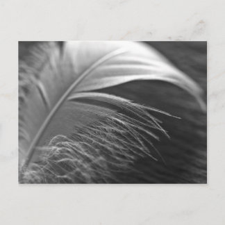 ライチギット ポストカード