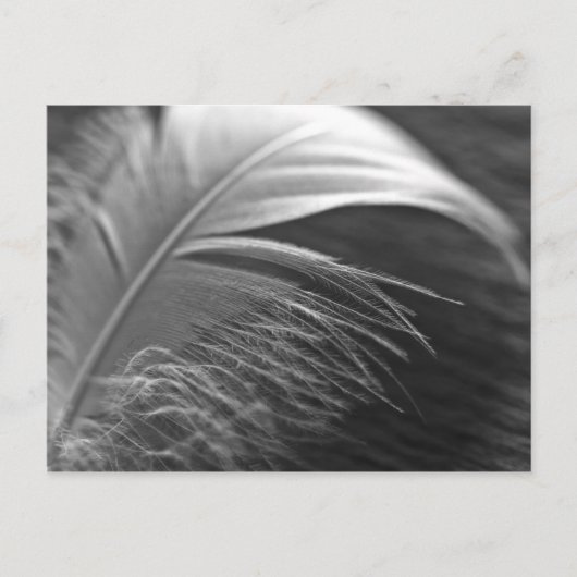 ライチギット ポストカード (正面)