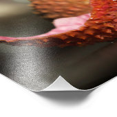 ライチ果実写真、フルーツマクロ フォトプリント            (角)