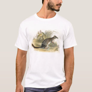 ライデッカー-縞模様のアンリ-イーター-ヌンバット Tシャツ