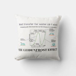 ライデンフロスト効果 化学 水 クッション