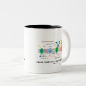 ライトからへの化学エネルギー(光合性) ツートーンマグカップ (正面右)