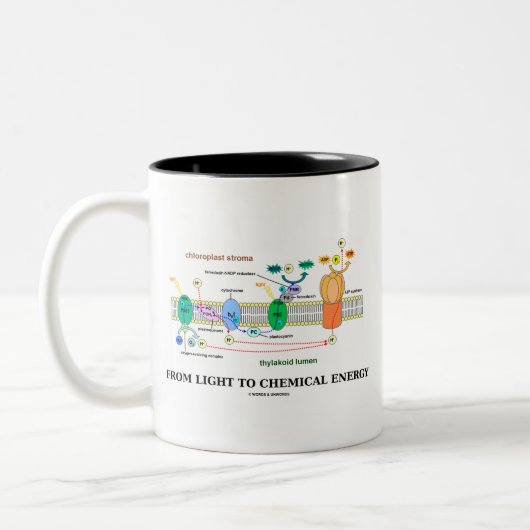 ライトからへの化学エネルギー(光合性) ツートーンマグカップ (左)