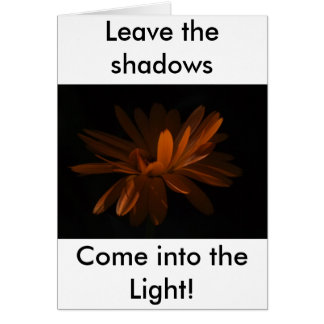 ライトに入って来て下さい!