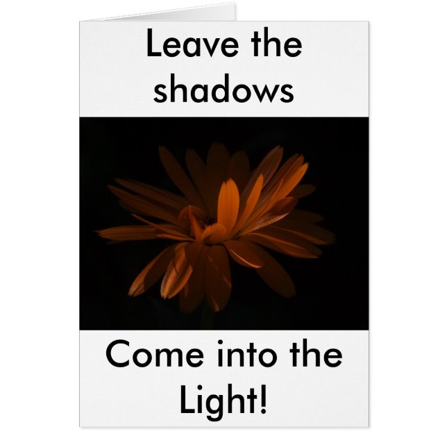 ライトに入って来て下さい! (正面)