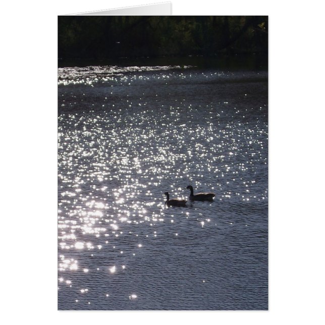 ライトに水泳 (正面)