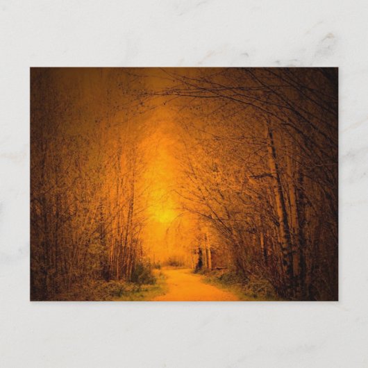 ライトのキーパー ポストカード (正面)