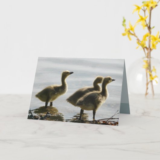 ライトの直面 カード (黄色い花)