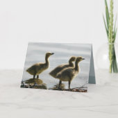 ライトの直面 カード (正面)